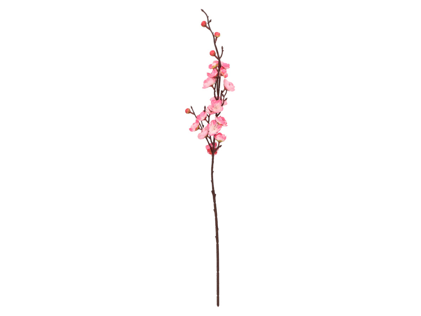 Wiśnia gałązka 70 cm różowa