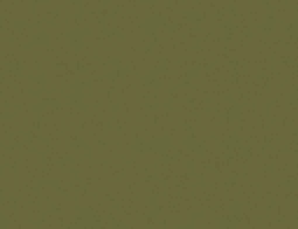 d-c-fix Klebefolie Uni Olive Seidenmatt
