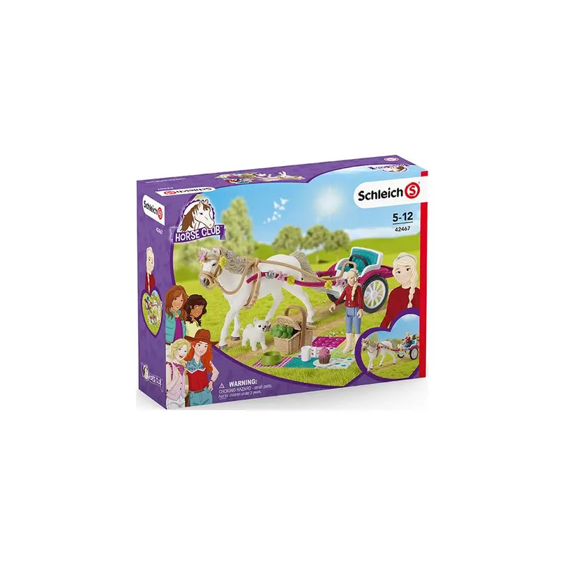 Spielset Horse Club
