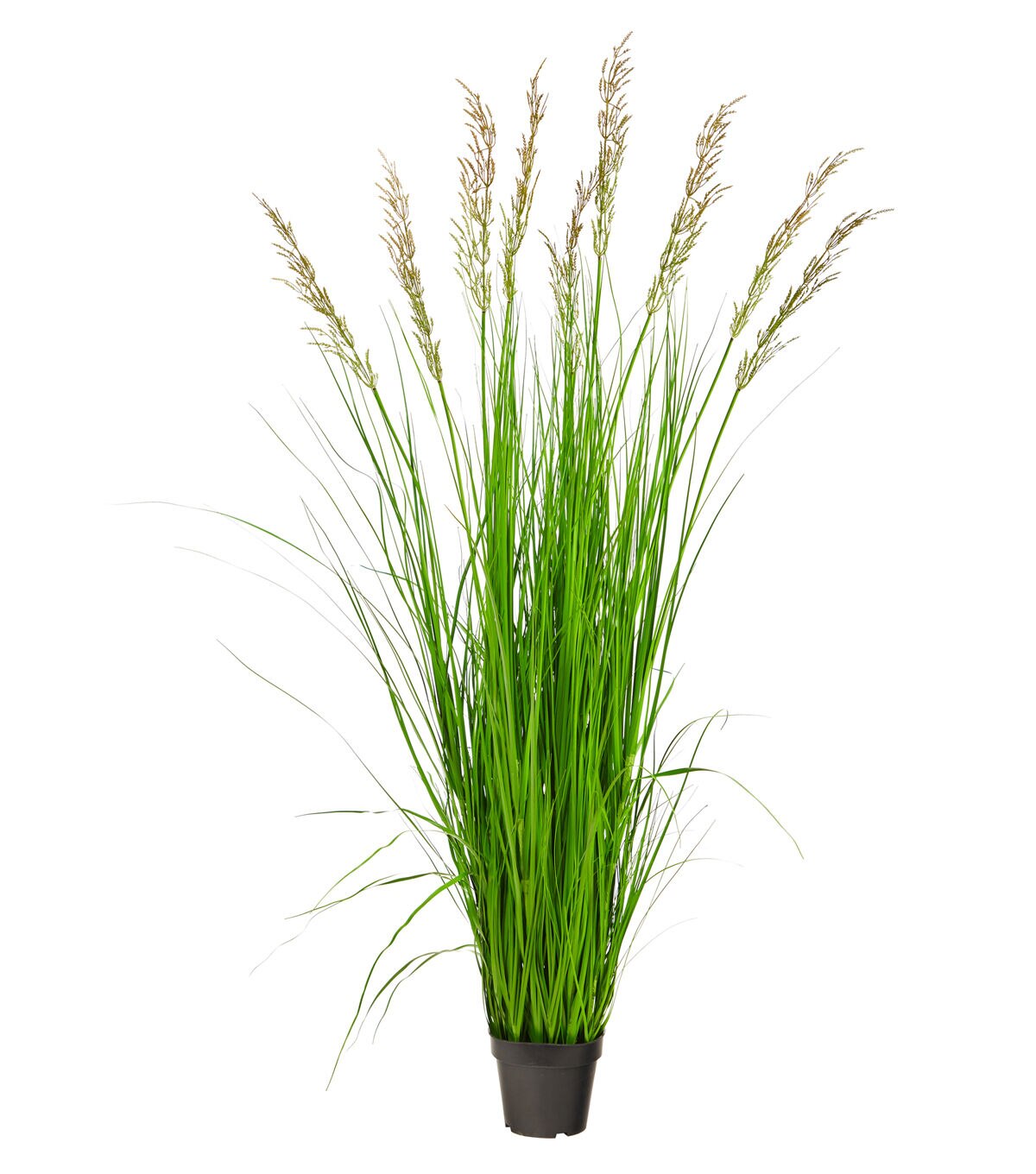 Nearly Natural 5.5ft. Plume Grass Artificial Plant