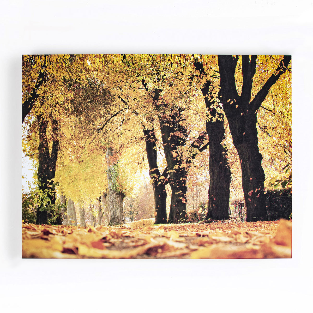 Art for the Home Canvas - Herfst - 75x100cm