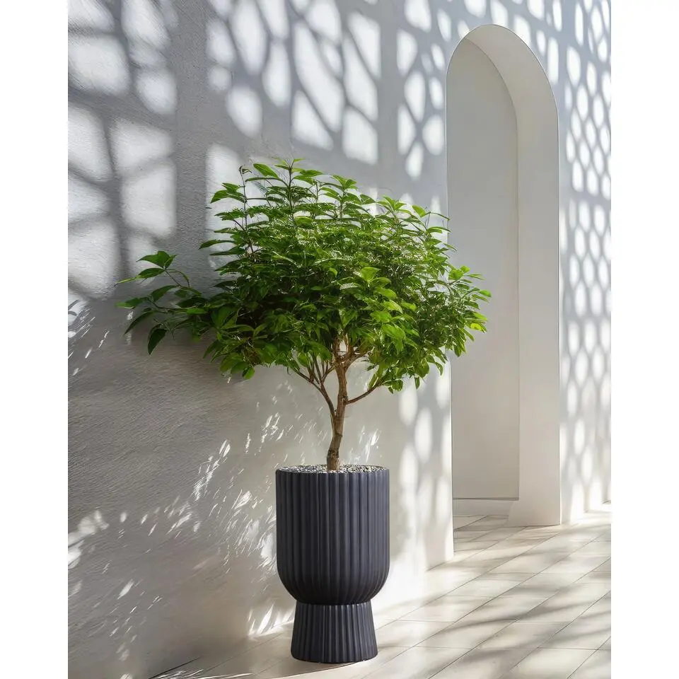 TAXODIUM - Bloempot - Grafietgrijs - MgO