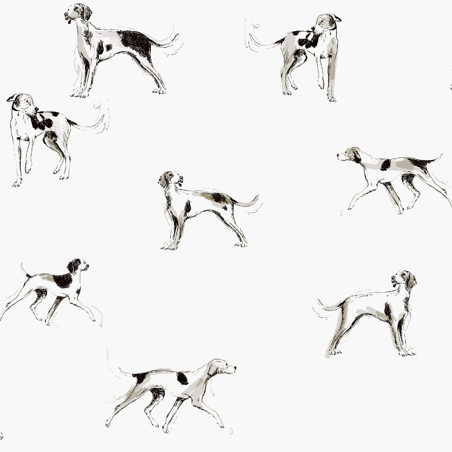 Joules Vliesbehang - Sketchy dogs - Wit - 10mx52cm