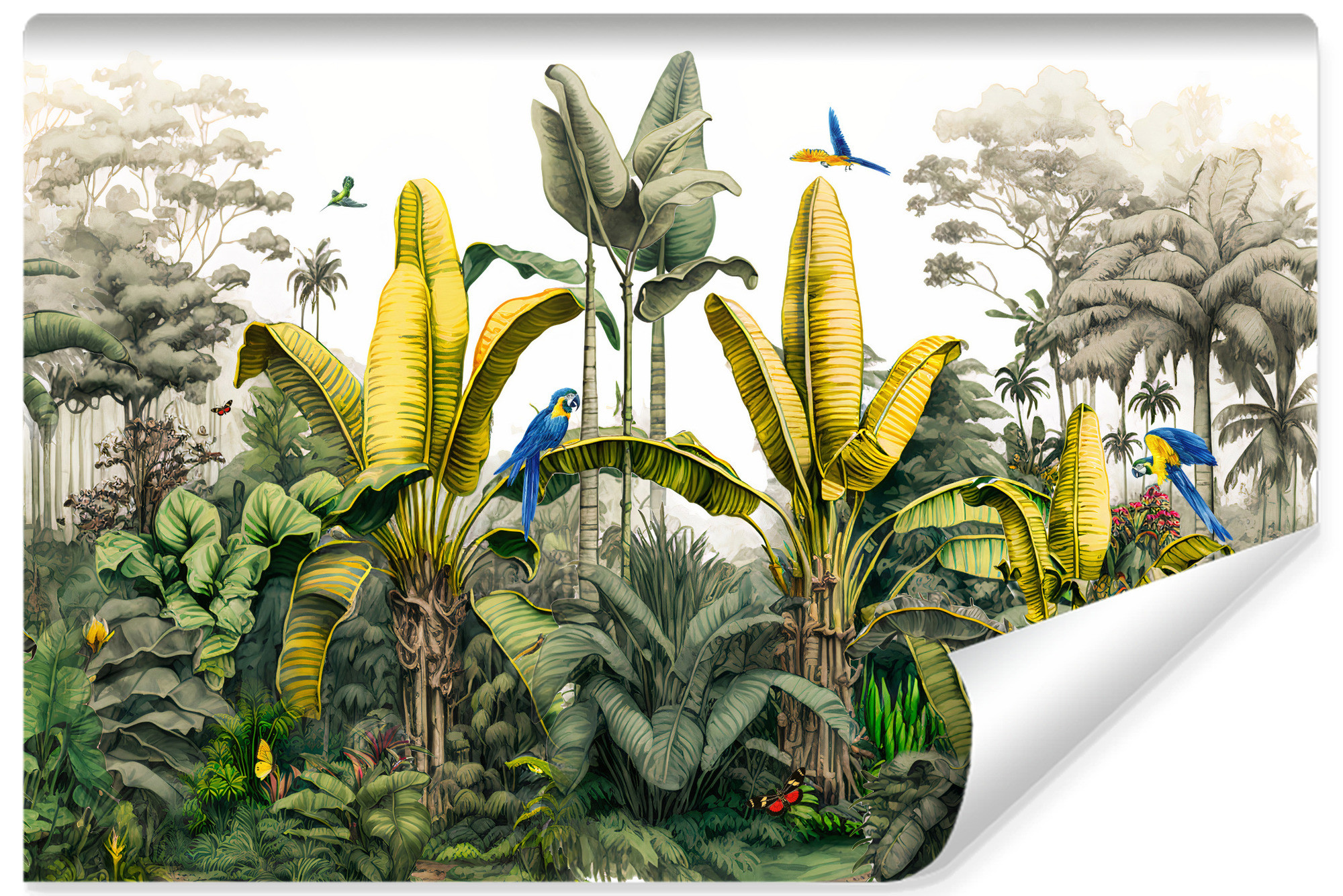 Fototapeta Las TROPIKALNY Drzewa Bananowe 90x60cm