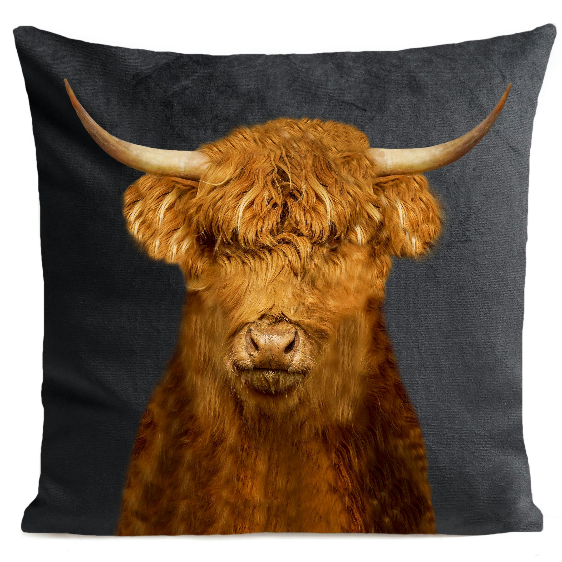 - Coussin campagne vache des highlands suédine gris 40x40cm