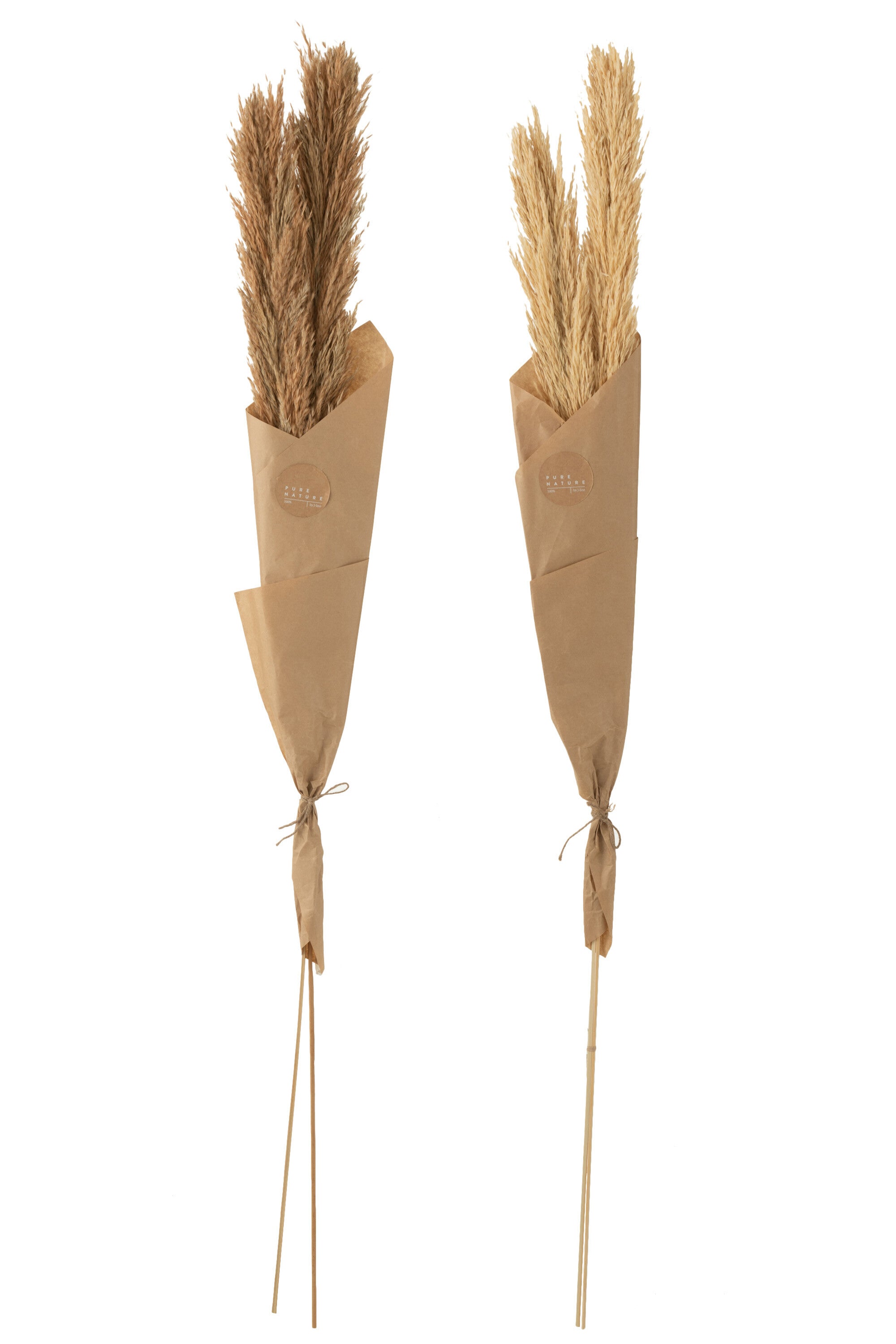 J-Line droogbloemen - Tak Veer Pampas - naturel - 2 stuks