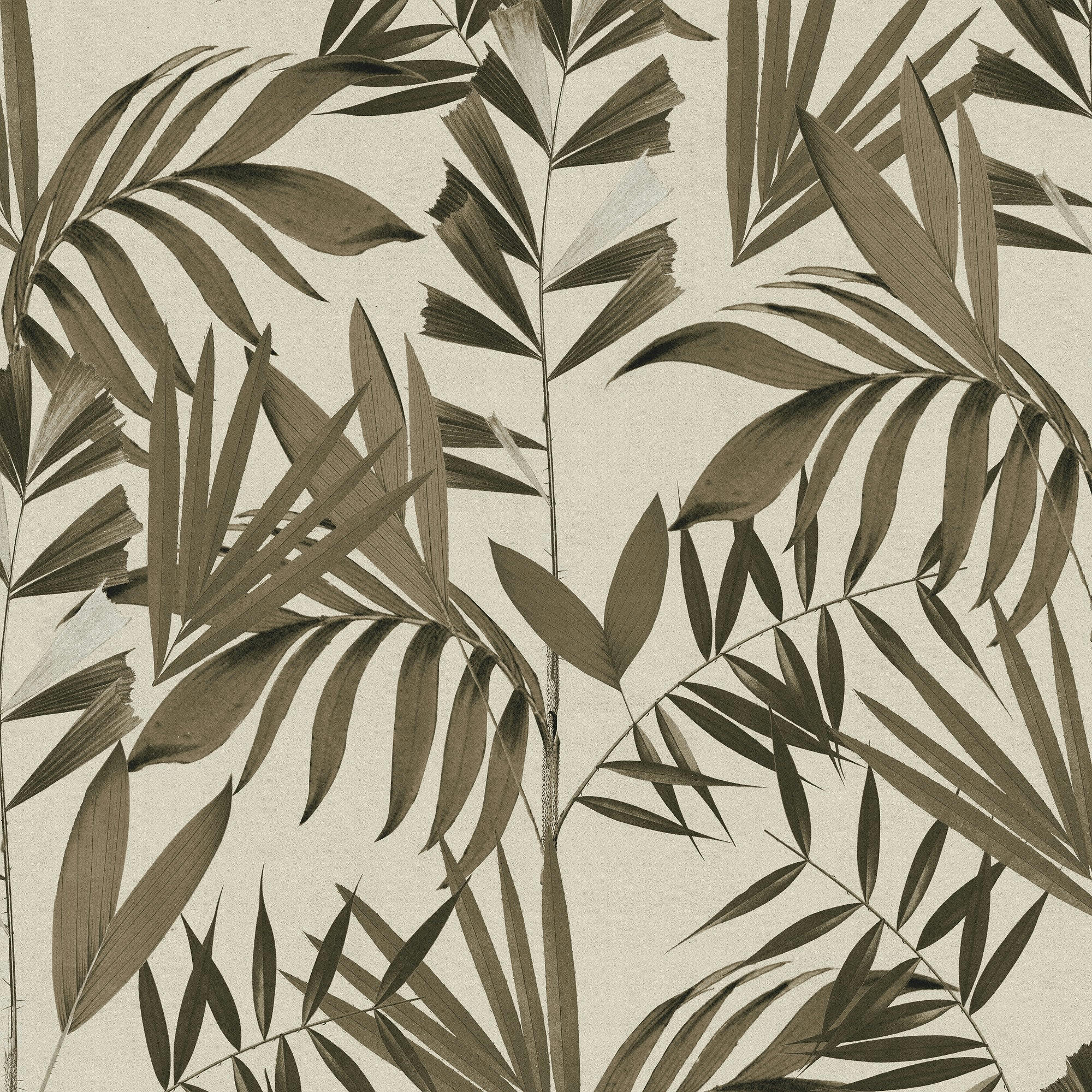 - papier peint végétal japon taupe 1005x52cm