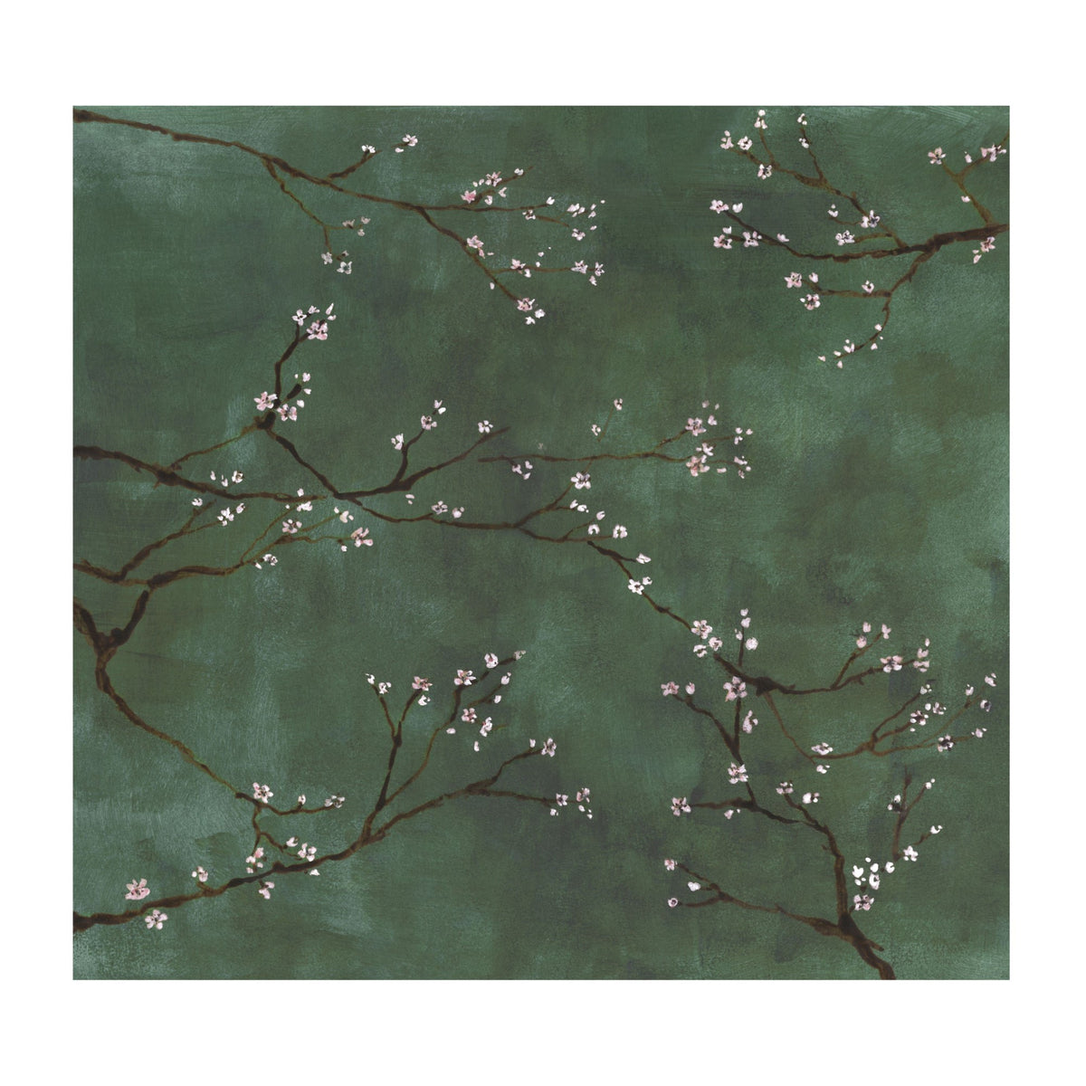 Superfresco Easy Fotobehang - Chinese Bloesem - Groen - 280x300cm