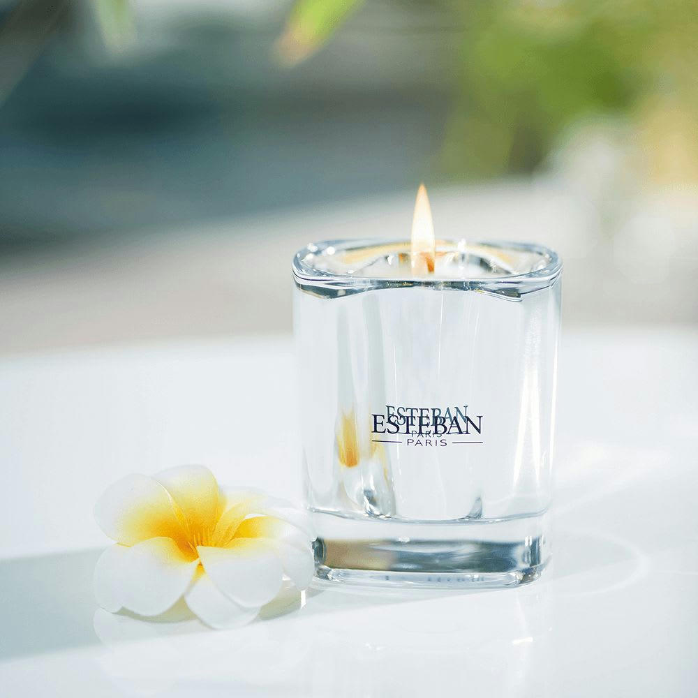 LIN & PETITGRAIN - Bougie contemporaine parfumée rechargeable