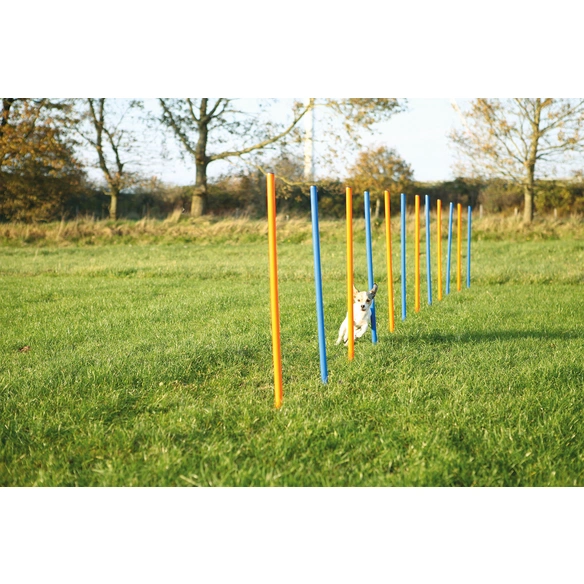Agility Ausrüstung, Agility Slalom Stangen, 12 Stück, 115 x 3 cm