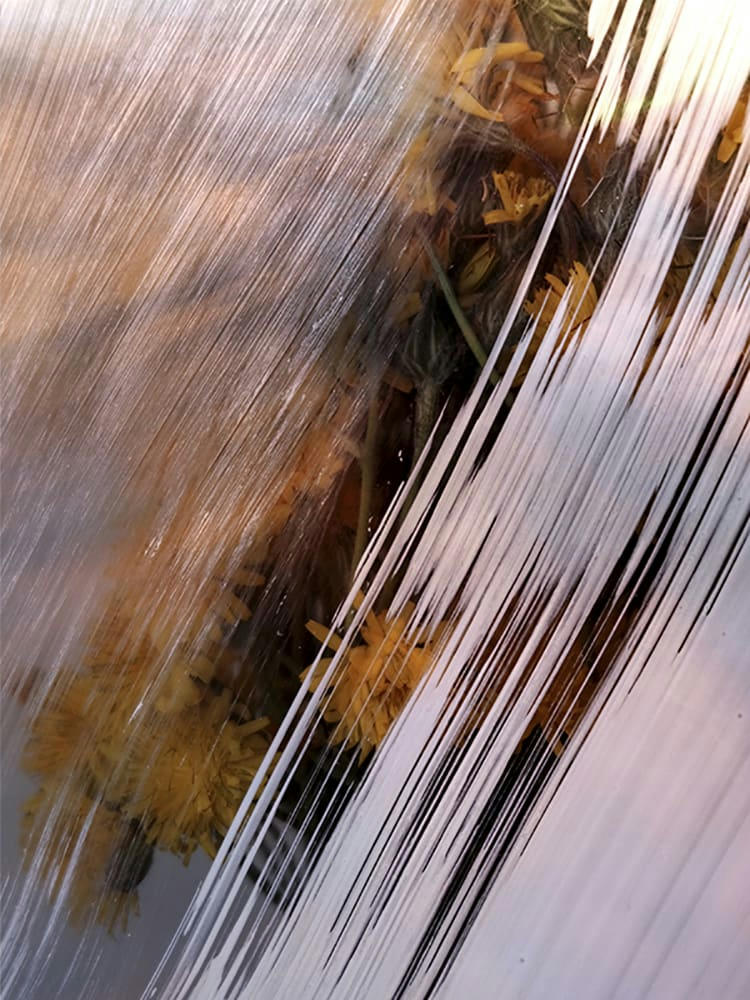 APPARITION - Photographie d'art de Zoé Pignolet 60x80 cm sur alu