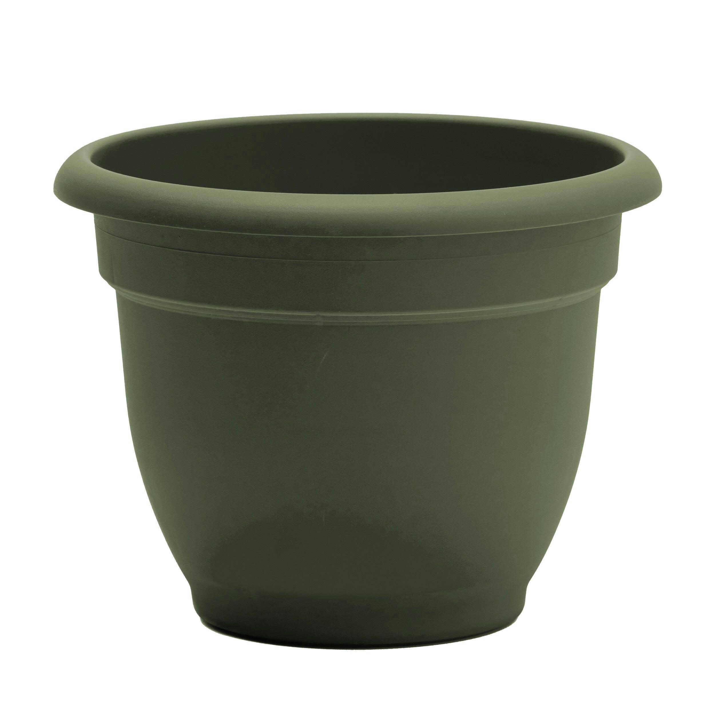 Bloem Ariana Self Watering Plastic Planter, Assorted Sizes & Colours