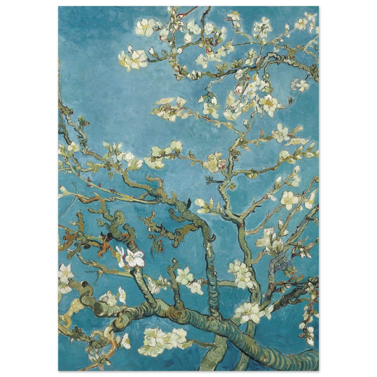 Artfulprints Poster Vincent van Gogh - Amandelbloesem  - 50x70 cm - Blauw