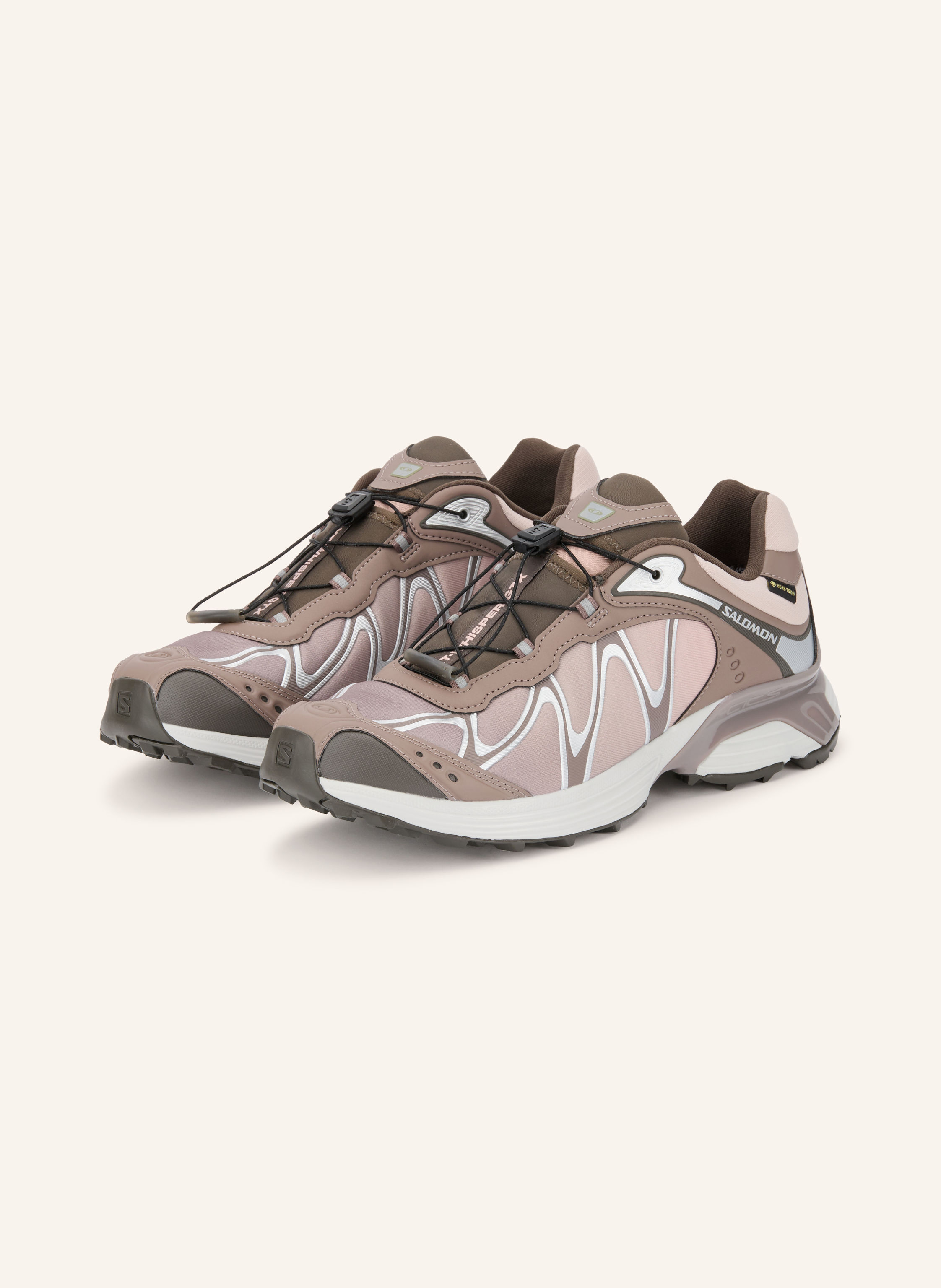 SALOMON Sneaker XT-WHISPER GTX