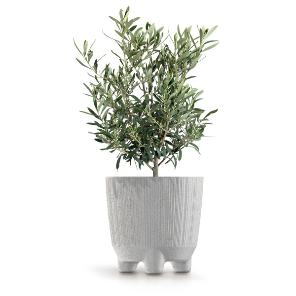 Doniczka Ryfo N ECO Wood 19,5 cm biały ECO PROSPERPLAST