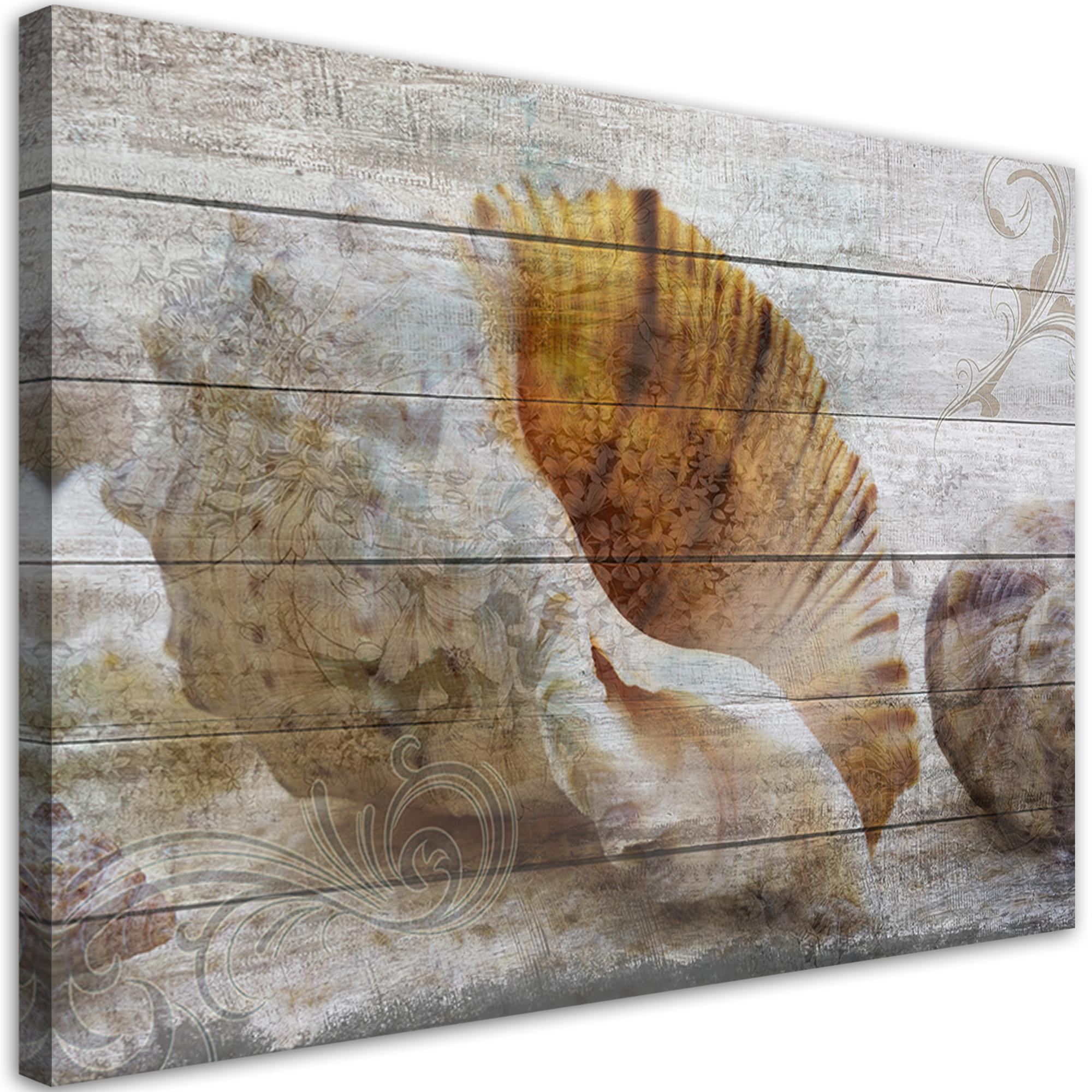 Feeby Obraz na płótnie, Muszle w stylu vintage 60x40
