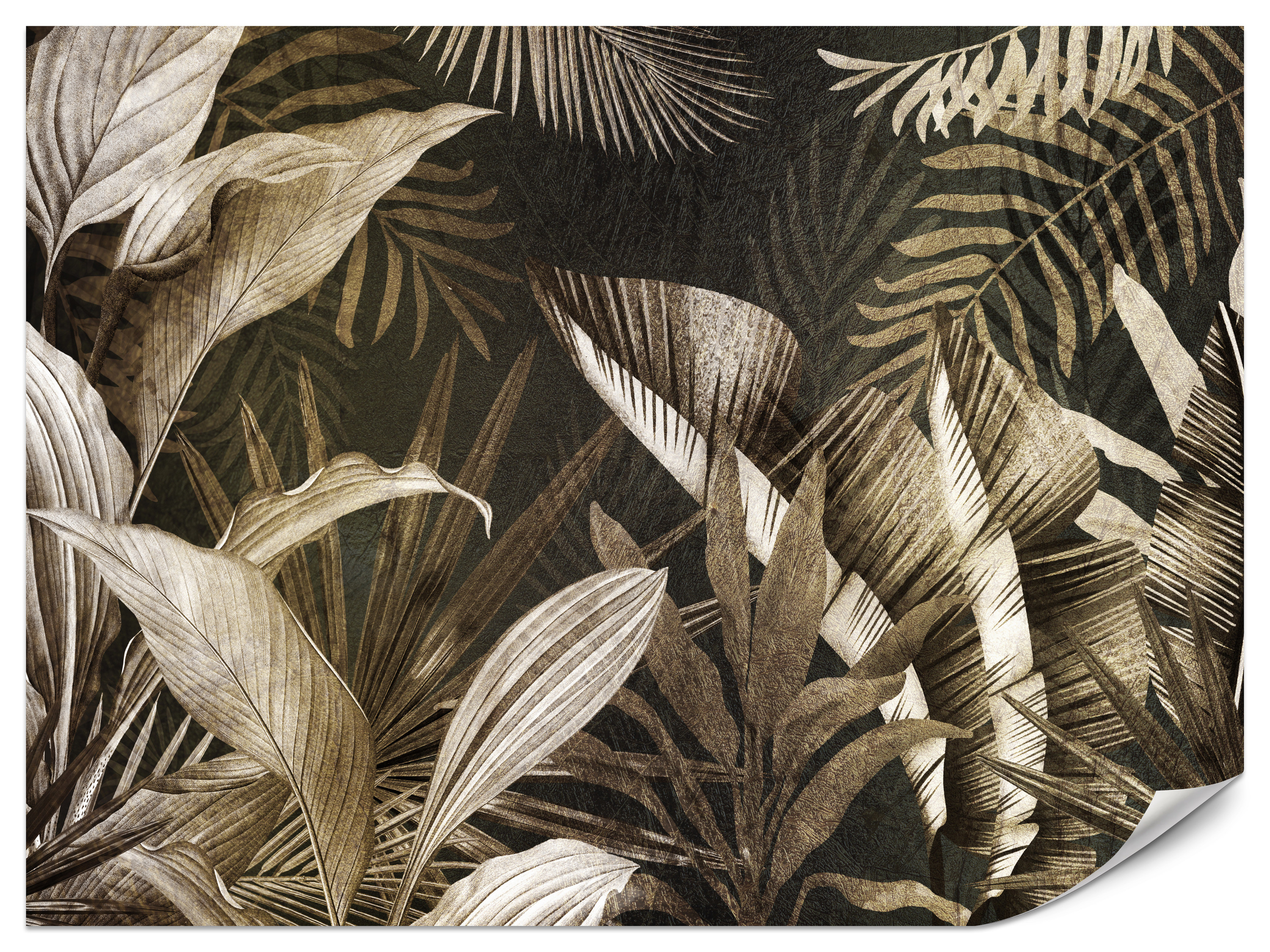 Fototapeta Natura zatrzymana w czasie 100x70cm