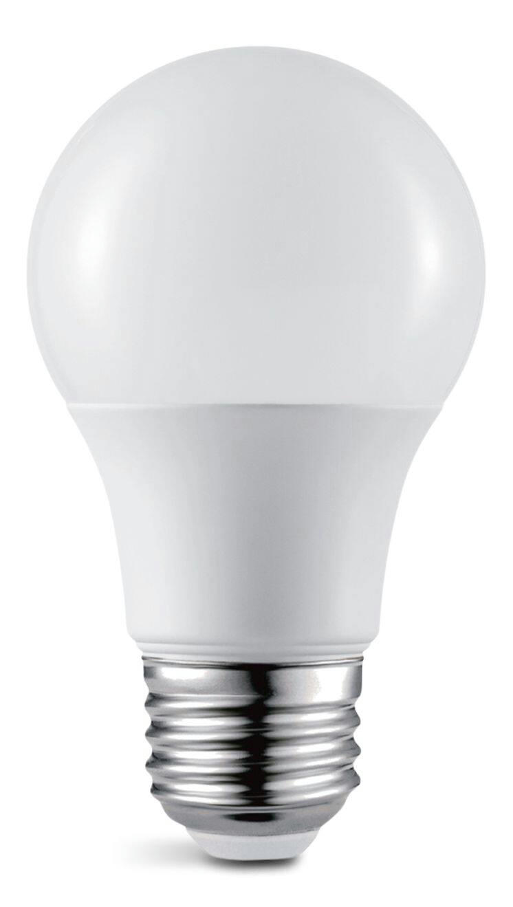 NOMA A19 60W Daylight LED Bulbs, 16-pk