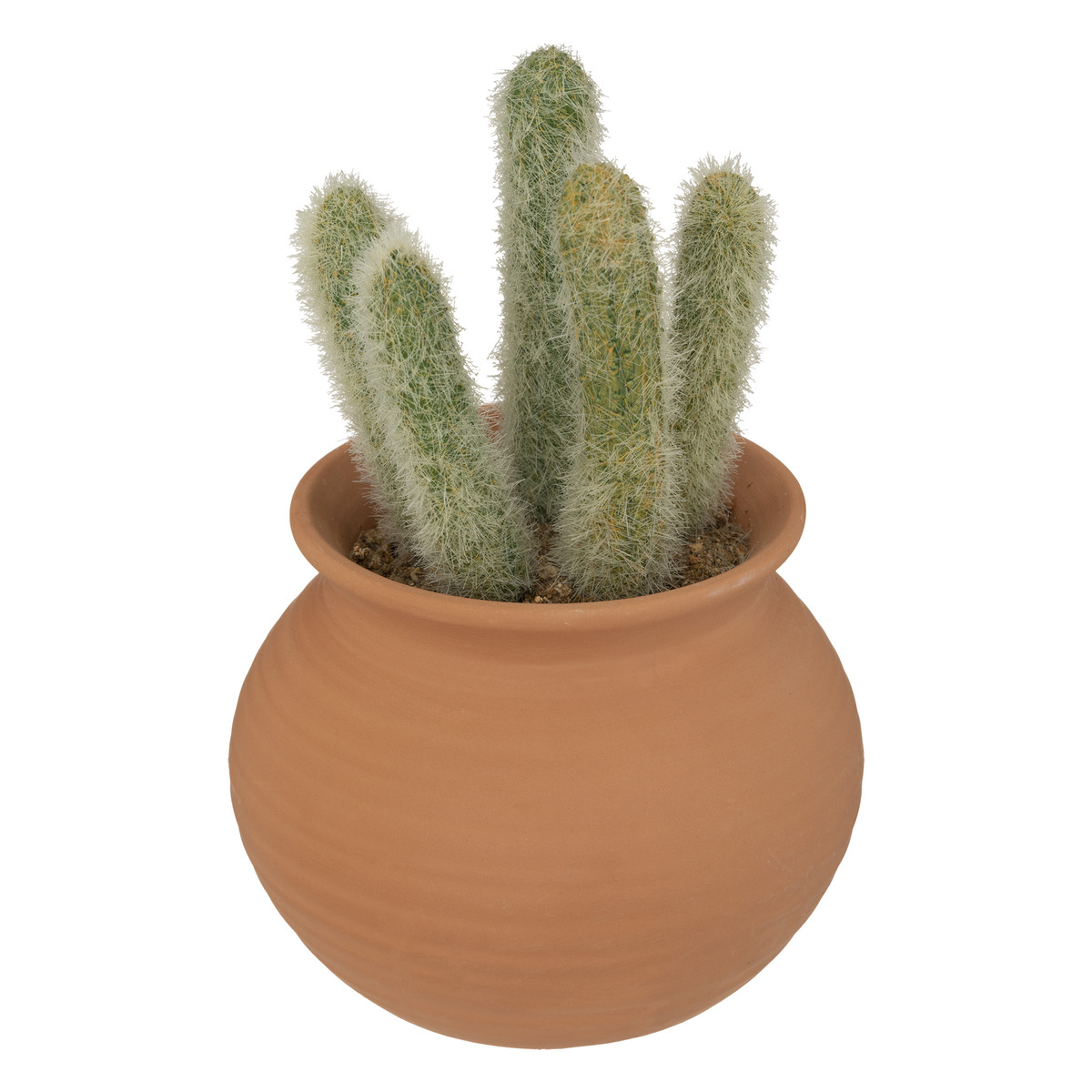 Artificial cactus "Ali" H16,5 cm