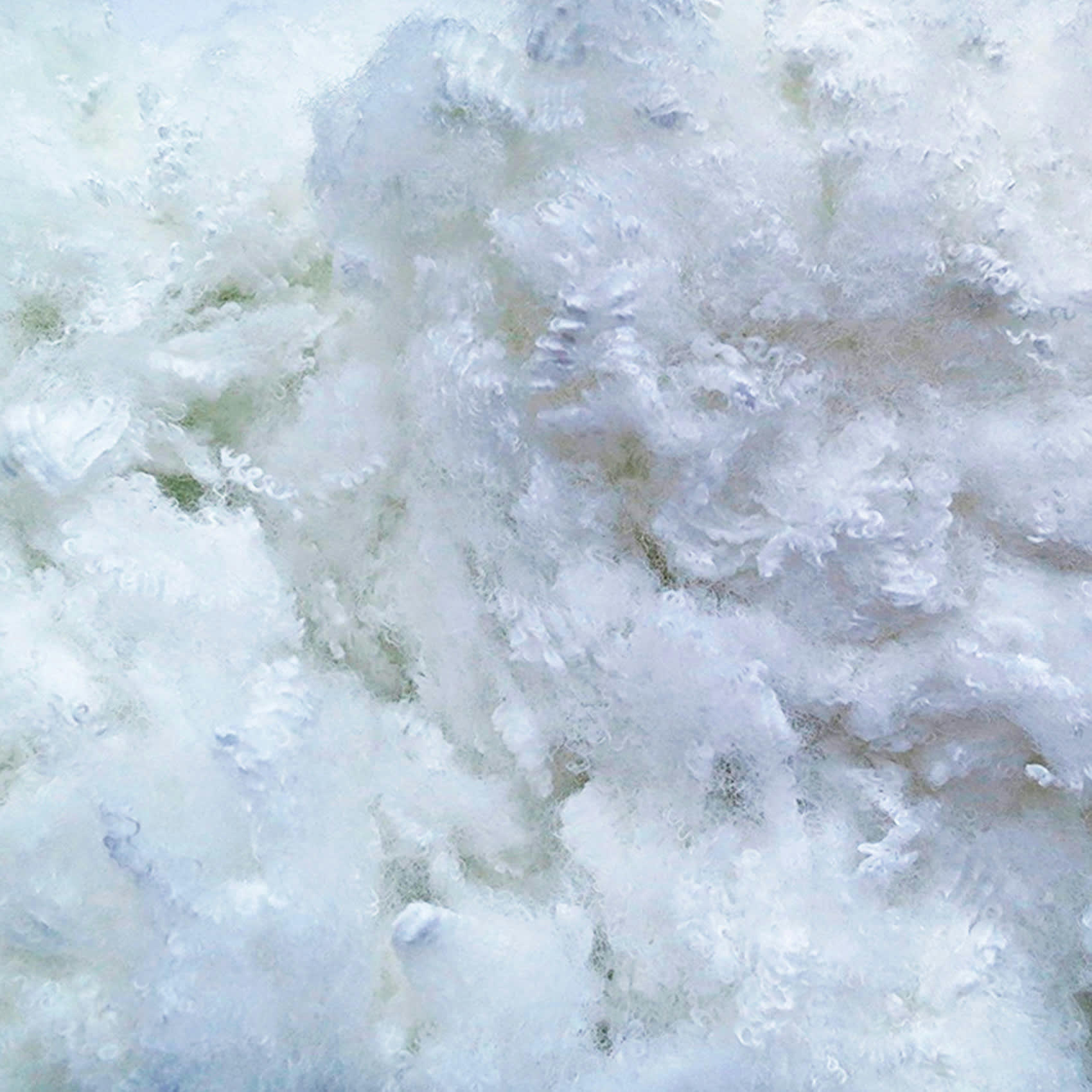 ALASKA - Oreiller 65x65   Fibres creuses polyester  Mi-ferme