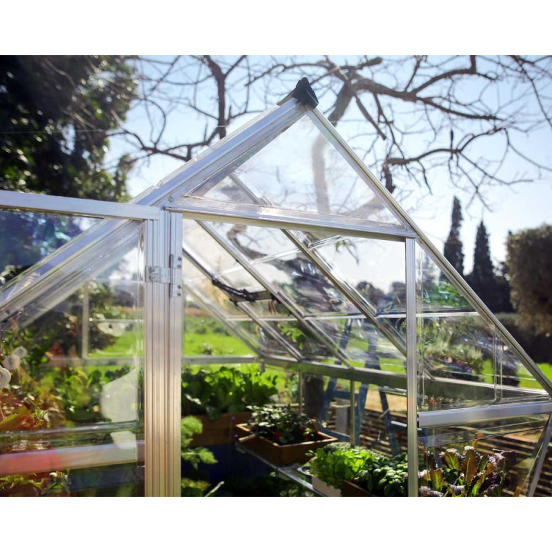 Serre en polycarbonate Harmony argentée 3,3 m² CANOPIA