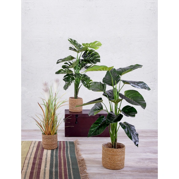 Seidenblume, Kunstpflanze, 1 x Monstera
