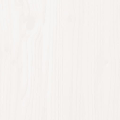 NNEVL Shoe Cabinet White 35x35x80 cm Solid Wood Pine