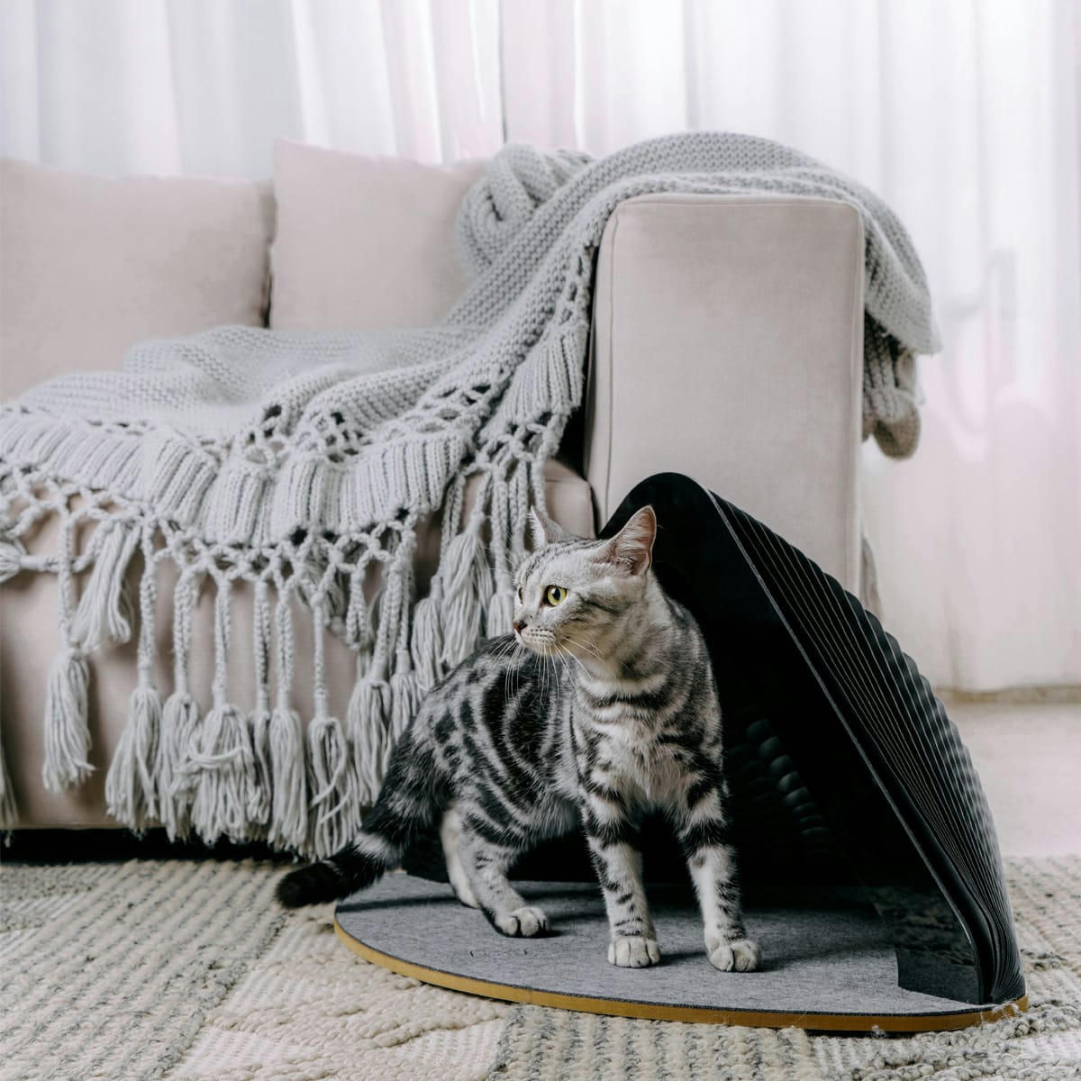 LIONI - Tente noire pliable pour chat en carton
