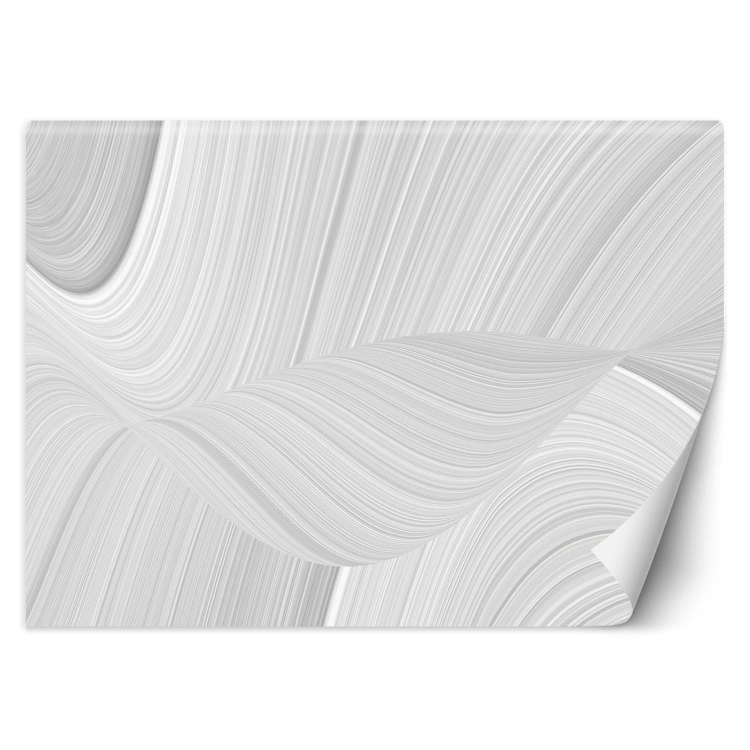 Feeby Fototapeta, Rozmazana biała tekstura 3D 150x105