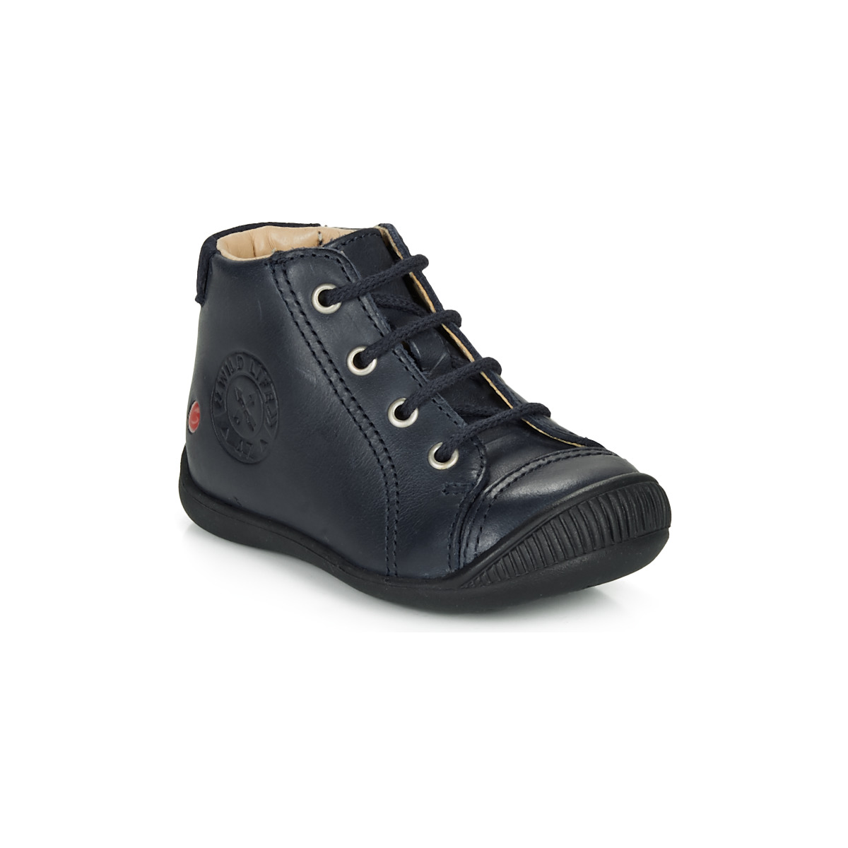 GBB - NOE - Blue