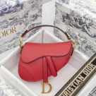 Dior Womens Bags Shoulder Bags MINI SADDLE BAG