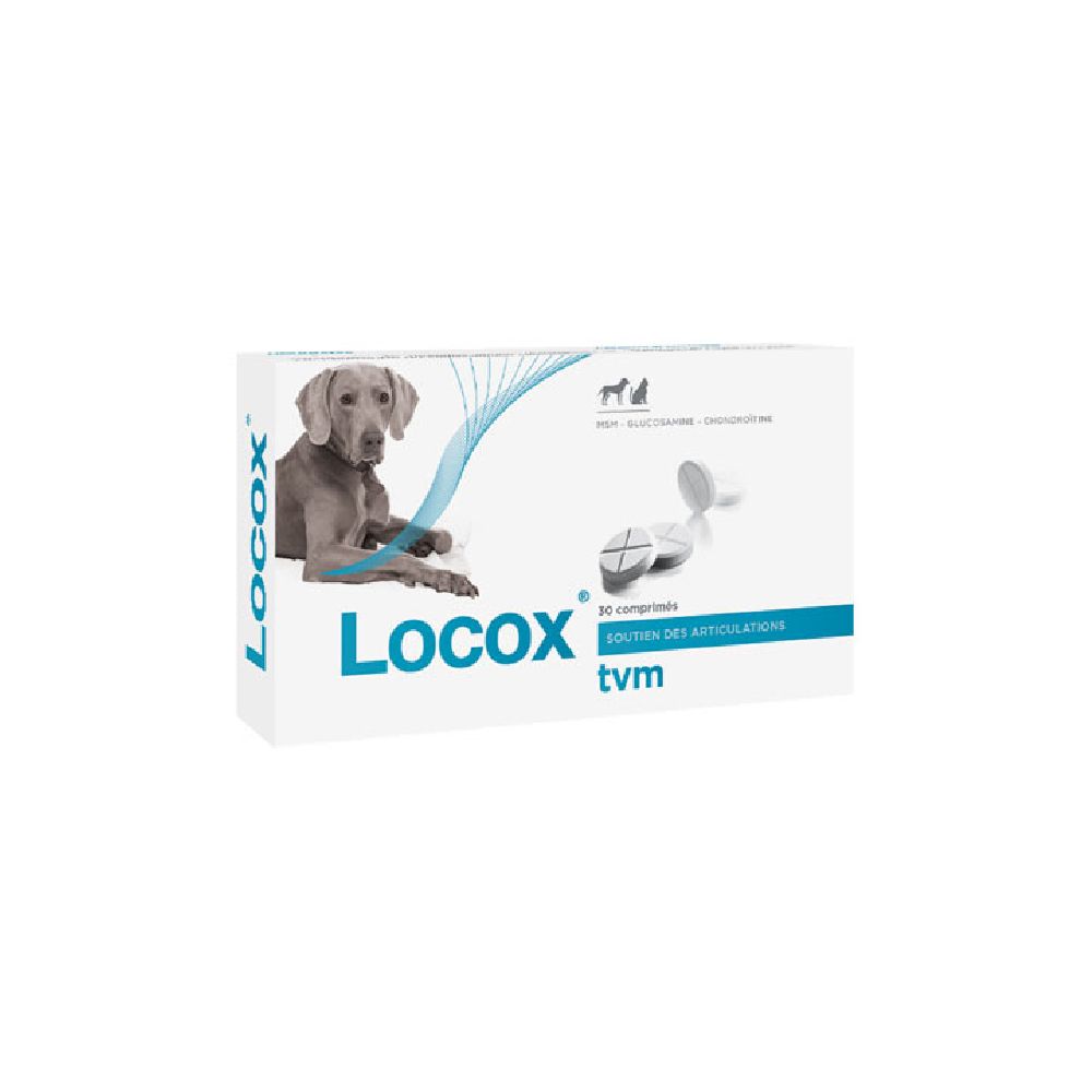 Locox Joint Tablets