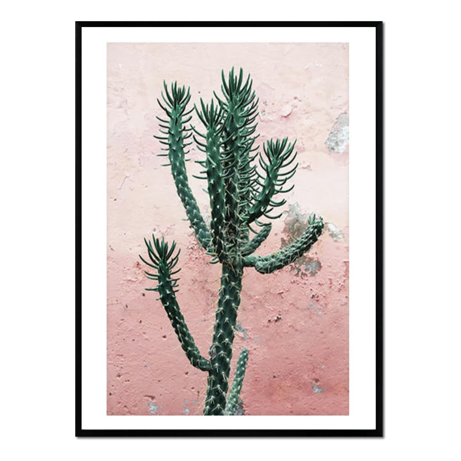 CACTUS - Affiche avec cadre noir - Cactus Fond Rose - 30x40