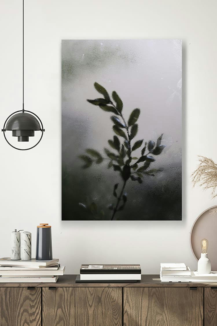 OMBRE - Photographie d'art de Zoé Pignolet 30x45 cm sur plexi