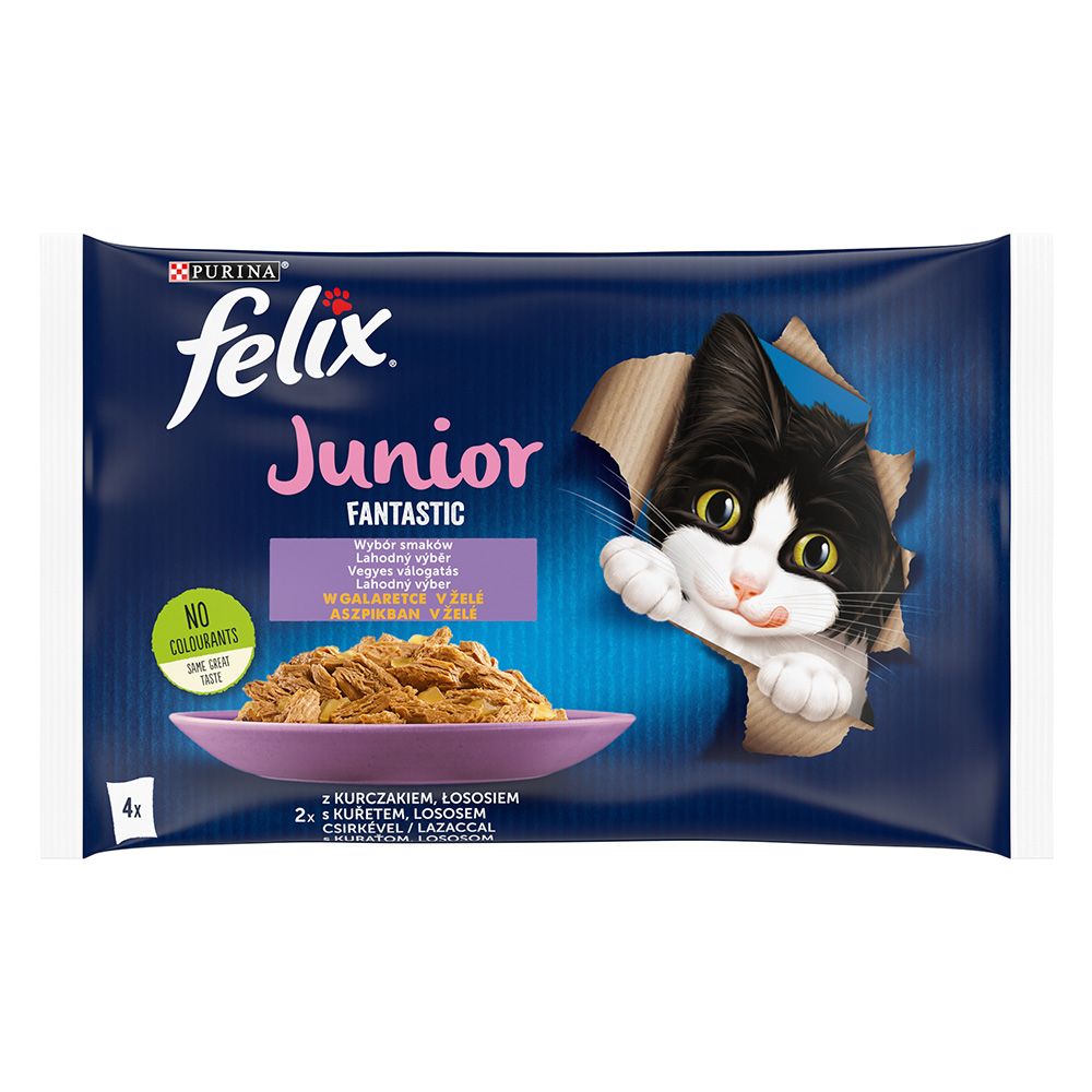 Felix Junior Fantastic Pouches 4 x 85g