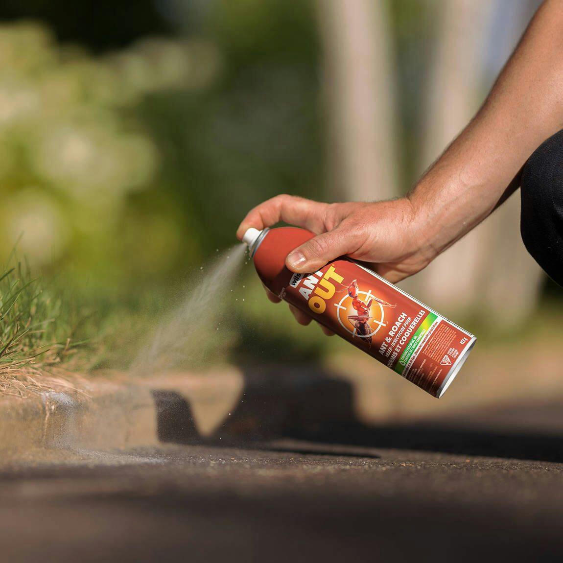 Wilson AntOUT Ant, Roach & Crawling Insect Killer, Insecticide Aerosol Spray, 425-g