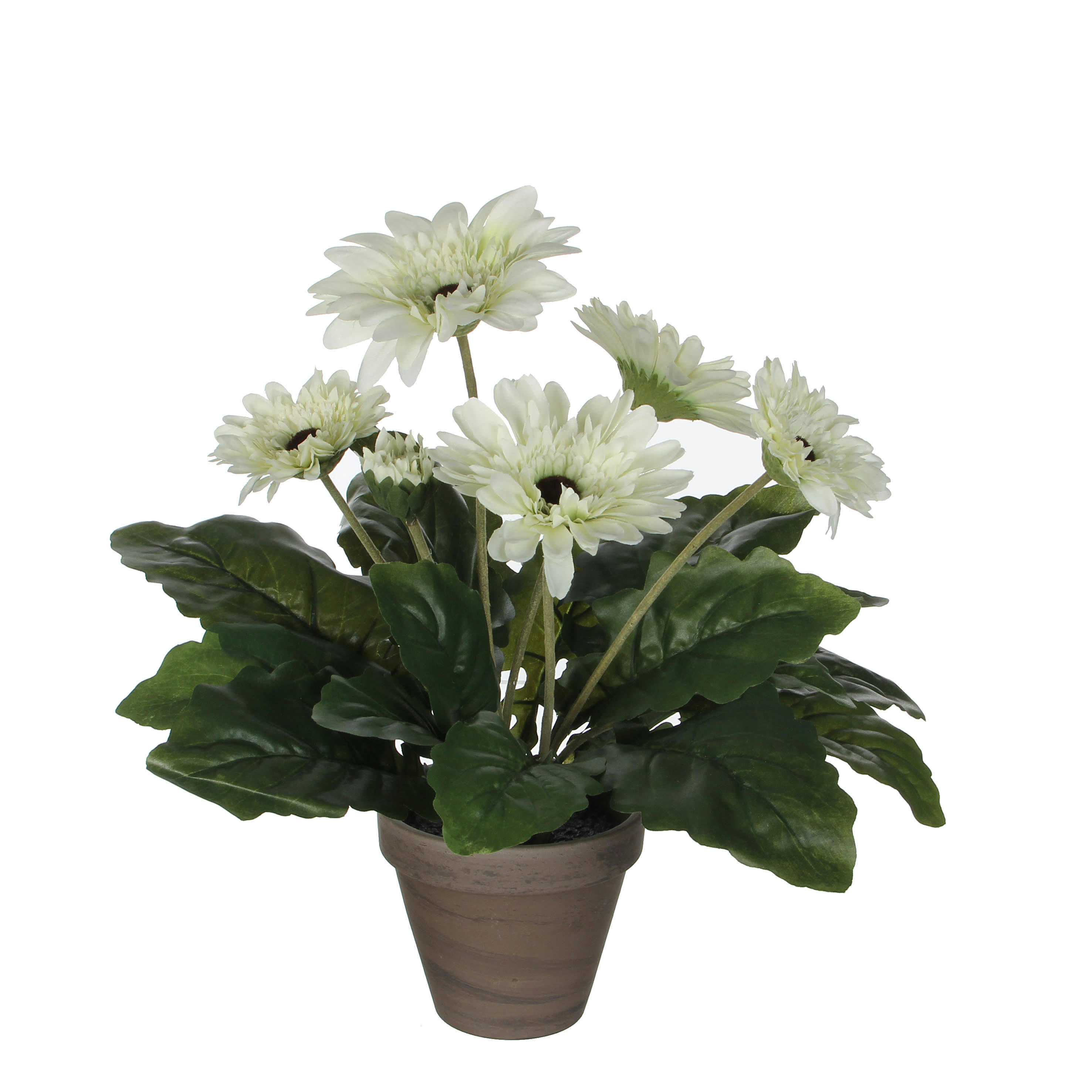 - Gerbera artificielle blanc en pot H35