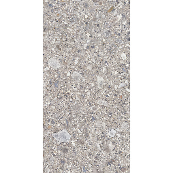 Carrelage Terrazzo 60x120 Ceppo Nuovo Silver Poli Rectifie - Allocarrelage