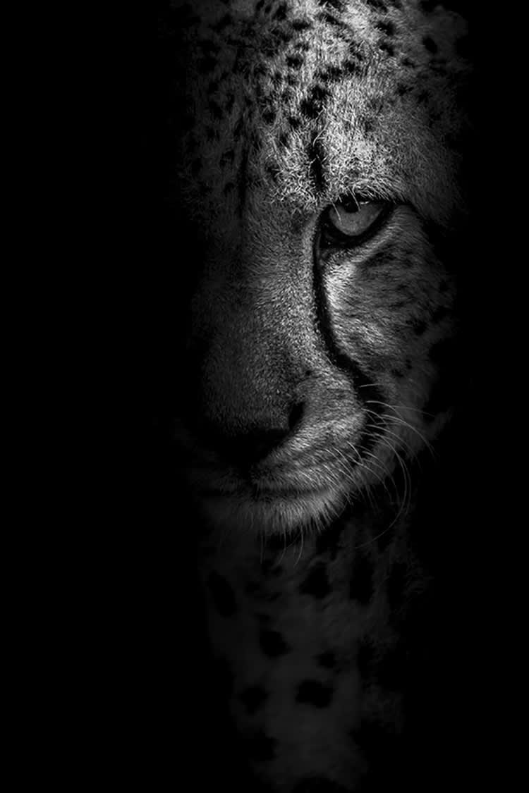 DERNIER JUGEMENT - Photographie d'art de Guillaume Mordacq  60x90 cm sur plexi