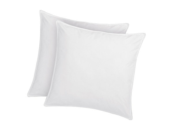 Lot de 2 oreillers traitement anti-acariens naturel Greencare - 60 x 60 cm - 550 gr - Blanc - coton - AZYLIA