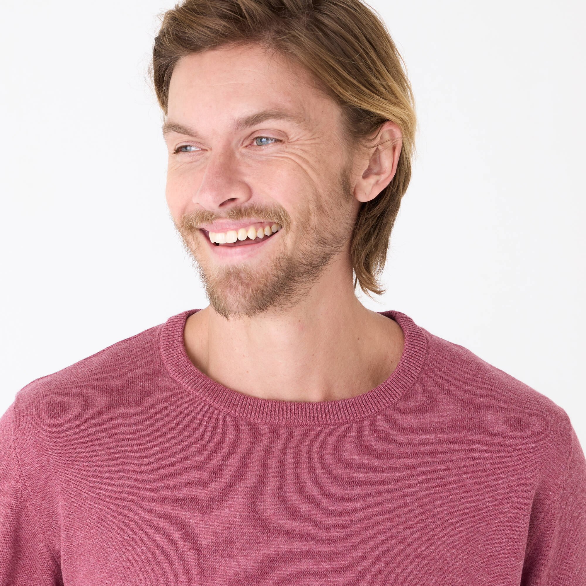 Pull pur coton col rond