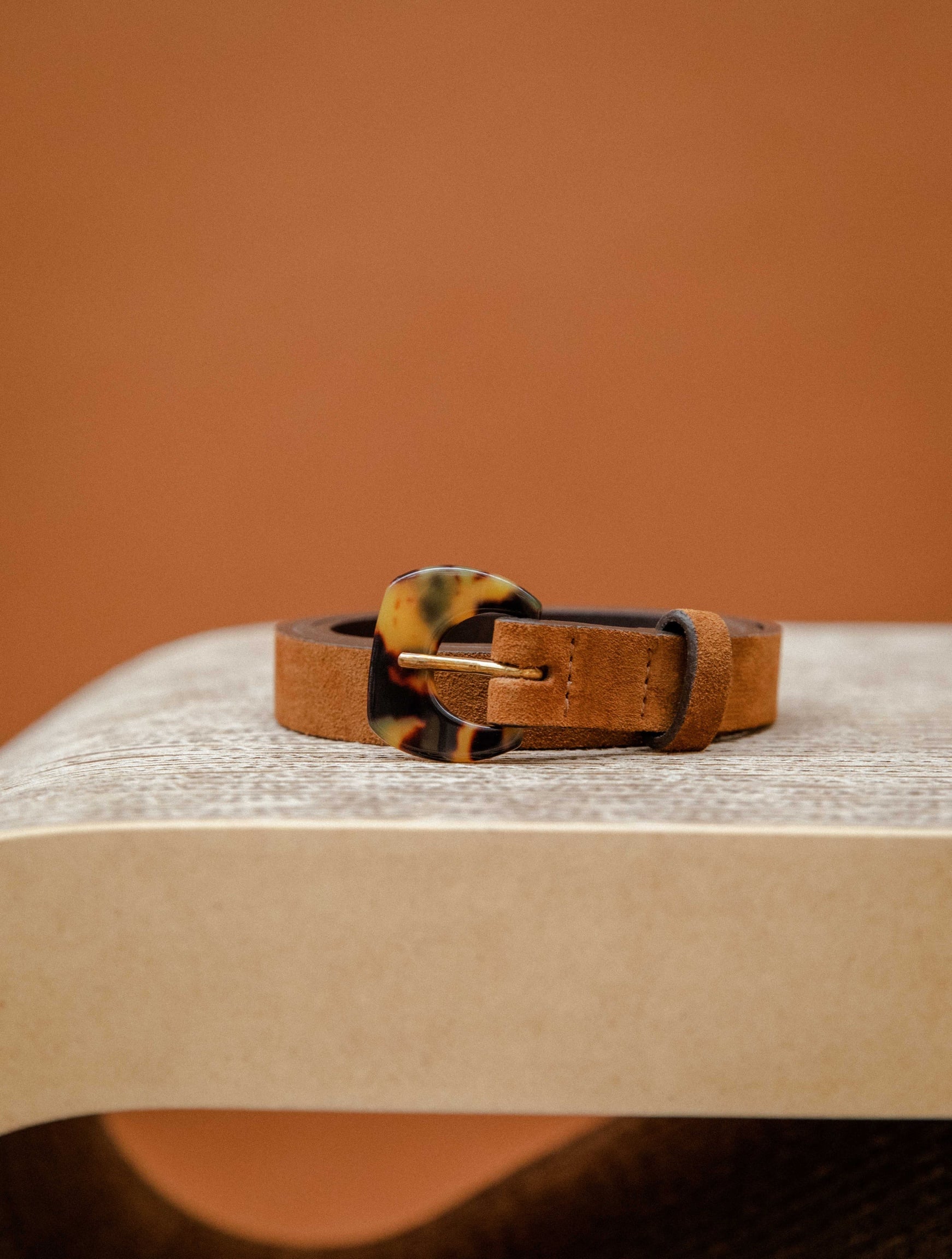 Mogliano Camel