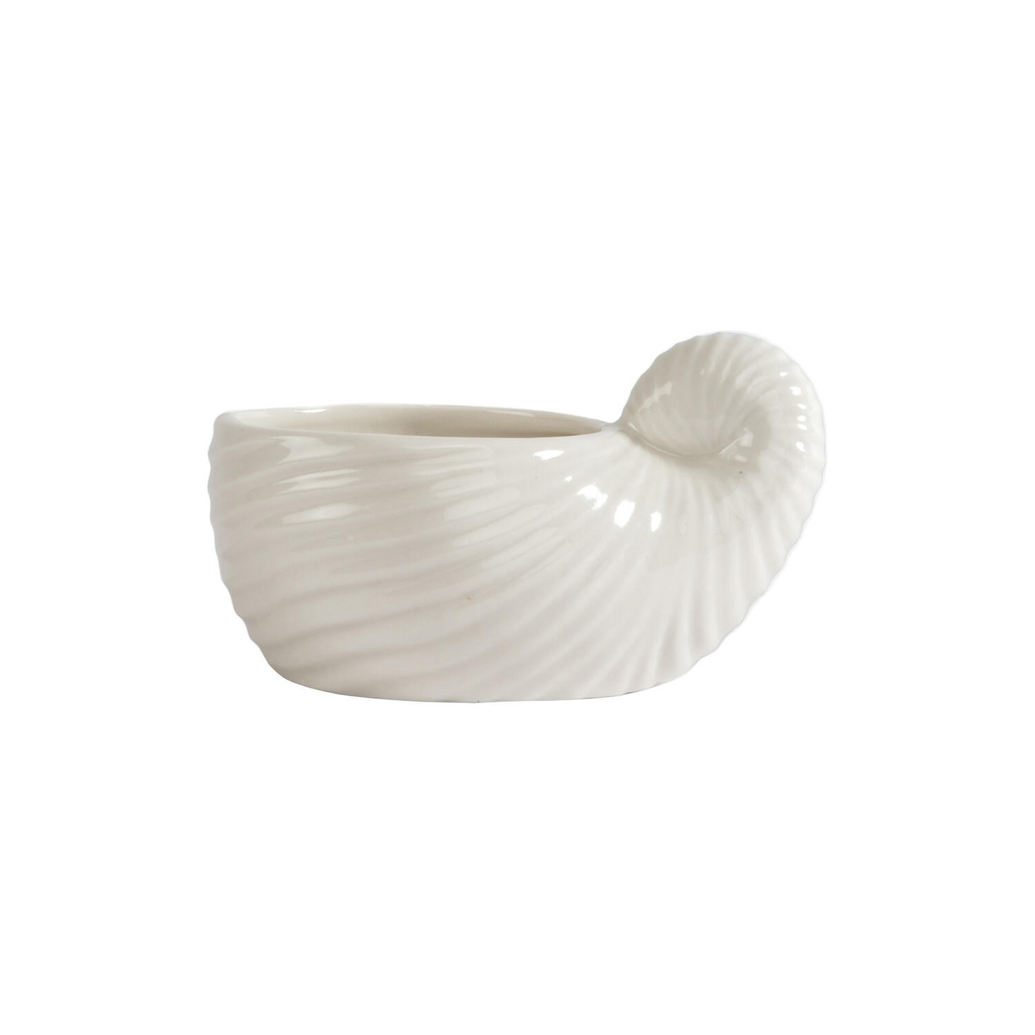 Shelley&nbsp;Cup 2 pcs
