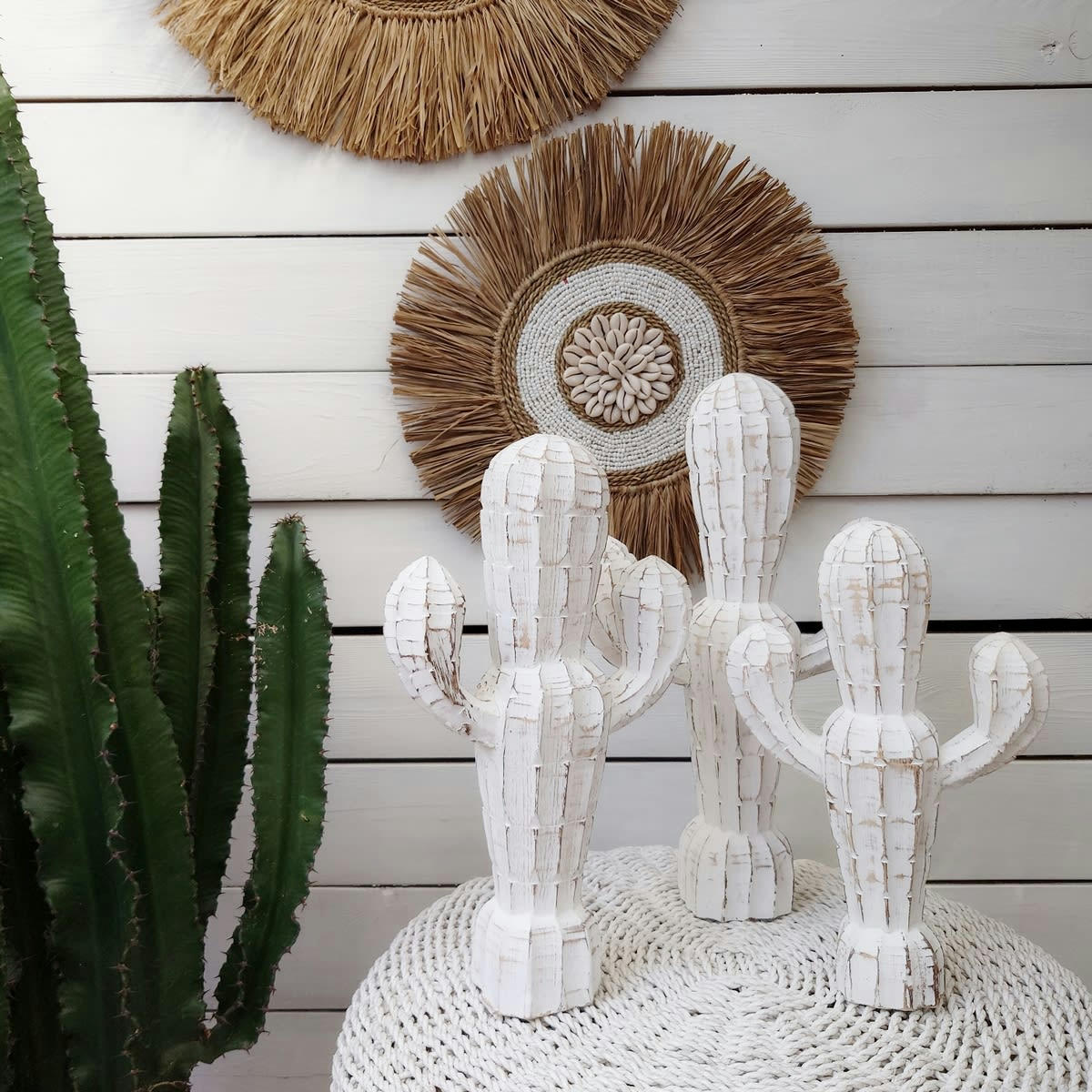 ZARA - Cactus en bois sculpté, blanc H35 cm