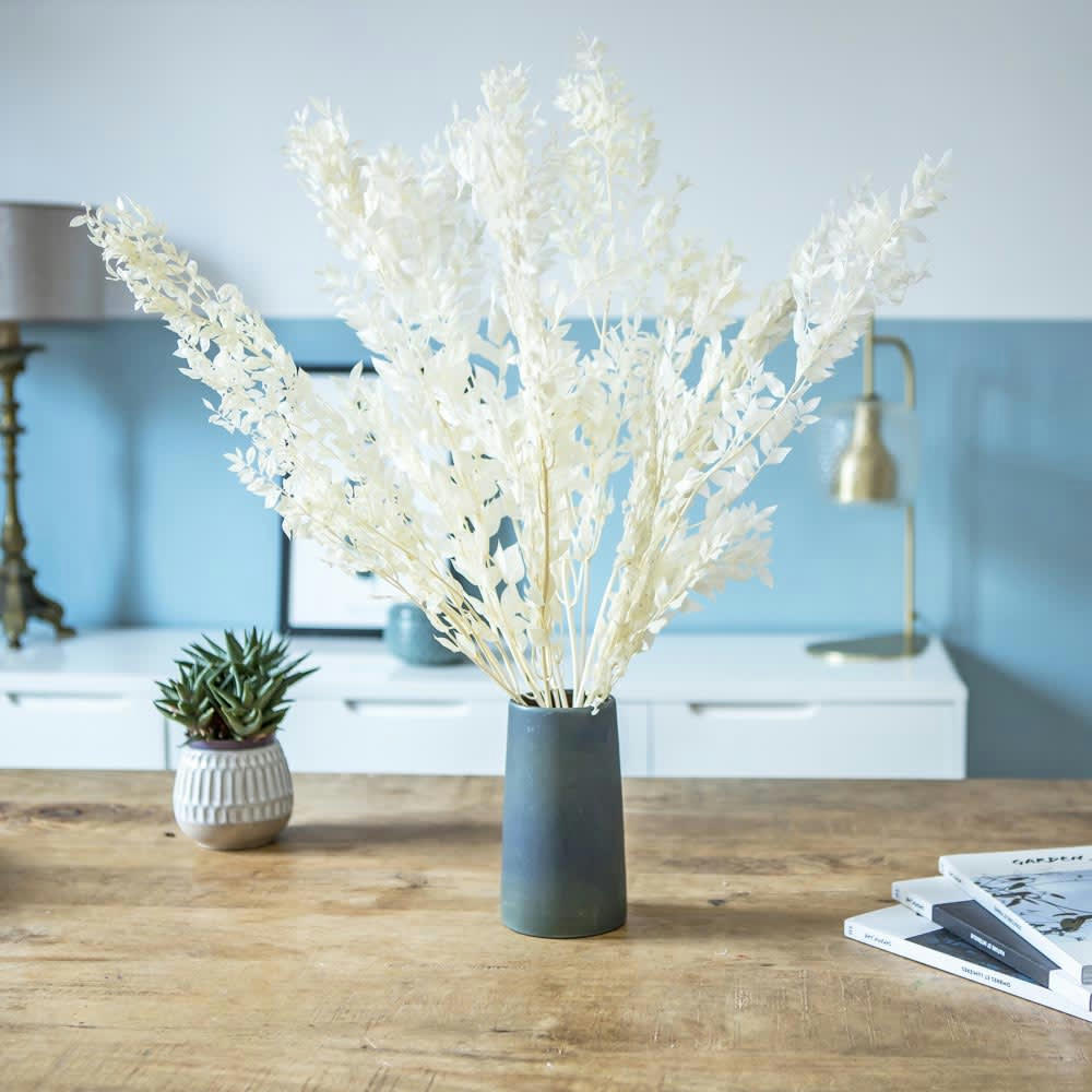 - Botte de fleurs séchées Ruscus blanc environ 10 tiges