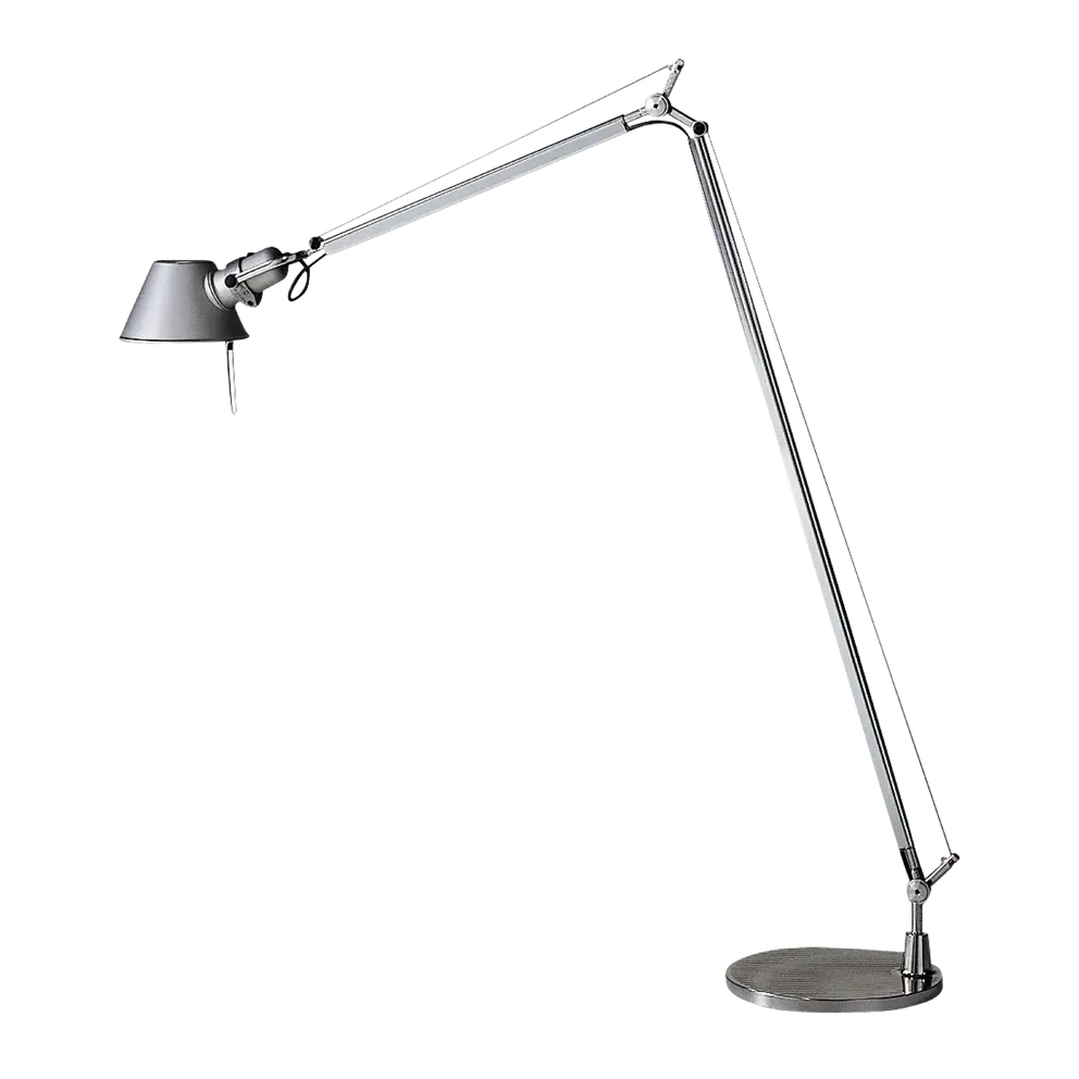 Standfuss Tolomeo