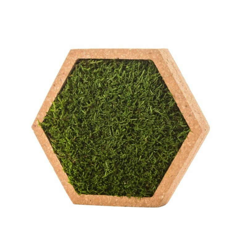 - Tableau végétal hexagonal mousse 16 x 16 cm