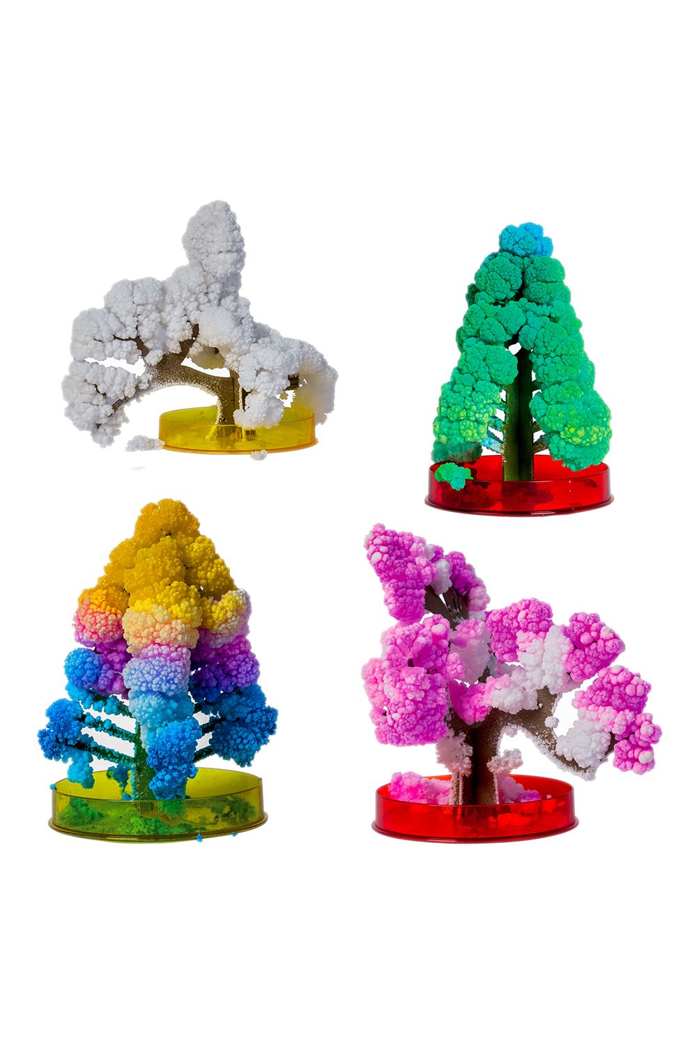 Funtime Gifts Science Museum Grow Your Own Magic Trees