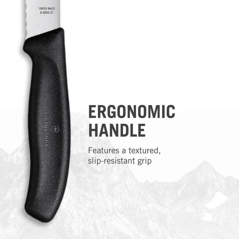 Besteckset Victorinox