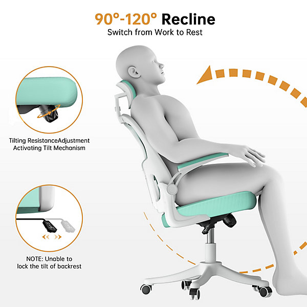 Chaise de Bureau Ergonomique avec Support Lombaire, Accoudoirs et Appuie-tête Réglables